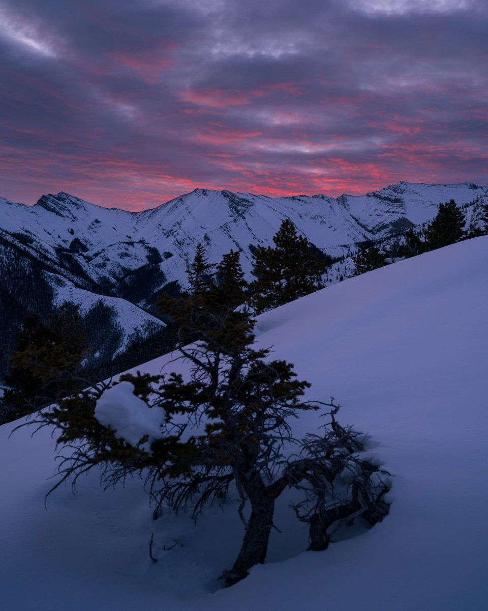 🌄 Rise and shine! Here's the stunning reward for an early wake-up - the breathtaking views from Wasootch Ridge!

Discover our best spring hikes: explorecanmore.pulse.ly/ezudsjos1n

📸: @nate_vandeligt  | #ExploreCanmore #ExploreKananaskis