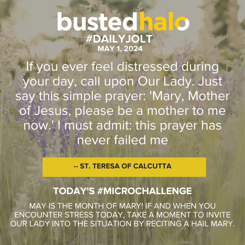 Today's #DailyJolt comes from #StTeresaOfCalcutta. buff.ly/3ER5k1R