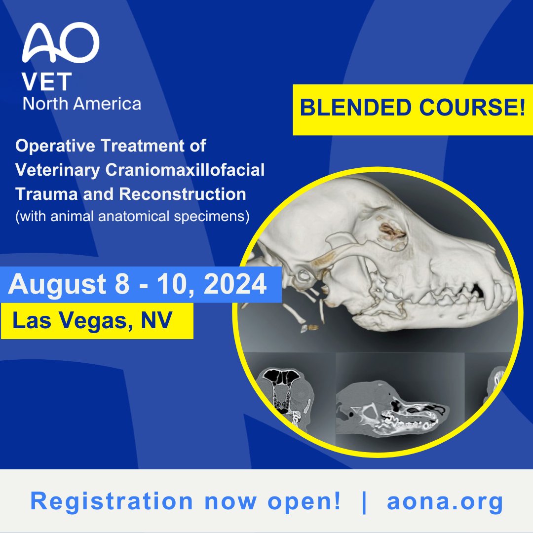 AO VET NA Blended Course in Las Vegas, August 8-10, 2024. Explore the latest in maxillofacial trauma and fracture repair for small animals. Online coursework, hands-on learning—register for an enriching experience! bit.ly/Vet-Vegas 

 @AOFoundation