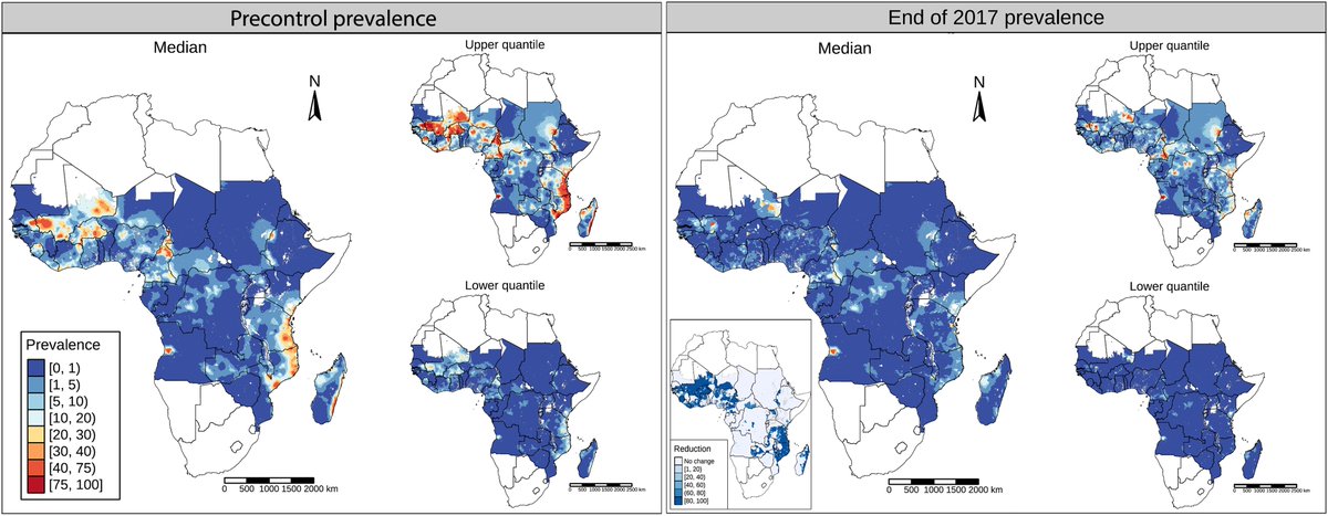 Can we eliminate Lymphatic Filariasis by 2030? 
@PTouloupou and @ClaudioFronterr research novel ways of linking maps and models to build a framework providing sub-national LF projections across 44 African countries. ​#BeatNTDs #GAELF ⬇️🧵