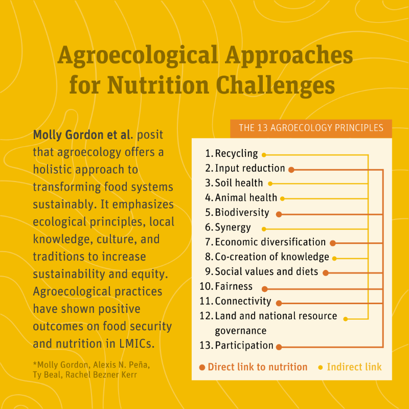 SightandLife's tweet photo. What key insights can we glean from the latest developments in the global #AlternativeProtein market, and how might they benefit #LMICs in shaping #sustainable &amp; affordable dietary solutions? 💡

Read our latest #CurrDevNutr supplement with @jnutritionorg and @JohnsHopkinsSPH ⬇️