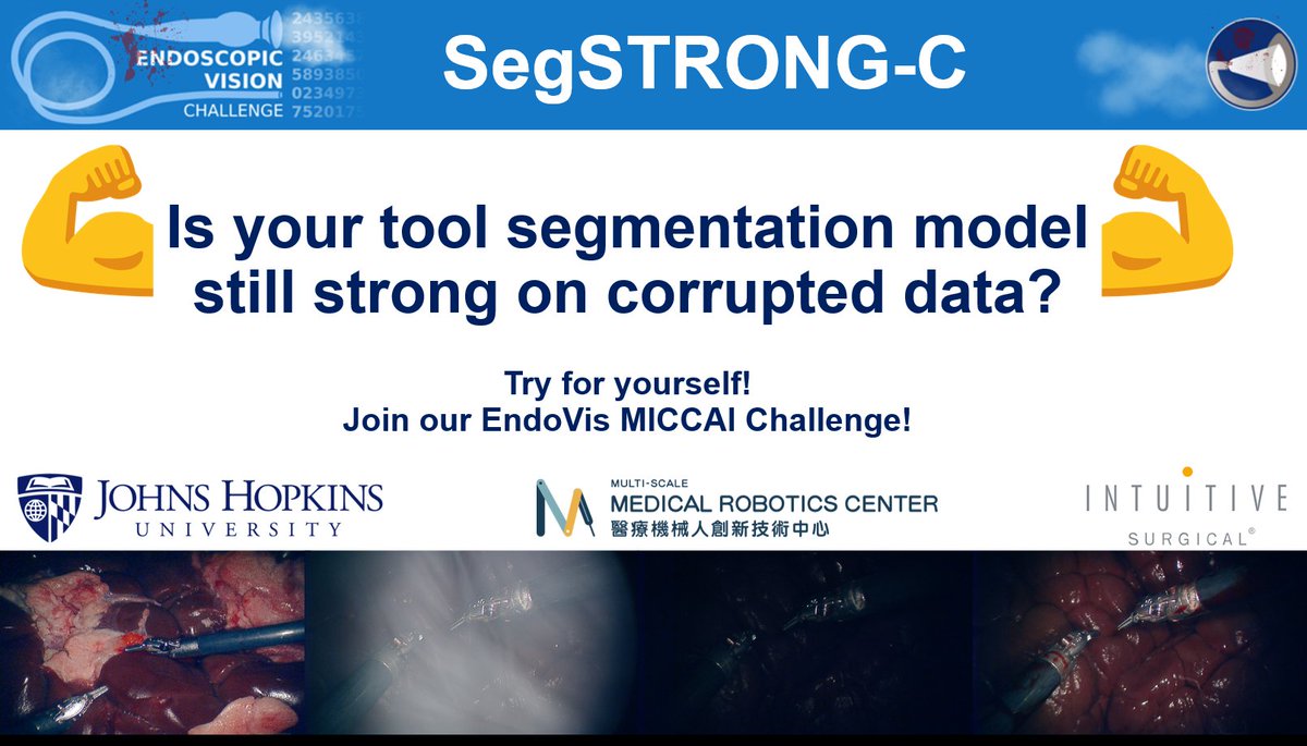 How does your surgical tool segmentation hold up to non-adversarial corruptions? Show us and participate in our #MICCAI2024 #Endovis sub-schallenge: segstrongc.cs.jhu.edu Data: 5/1 (today) Registrations: 8/23 Submissions: 8/30 Reports: 9/27 @HopkinsEngineer @IntuitiveSurg