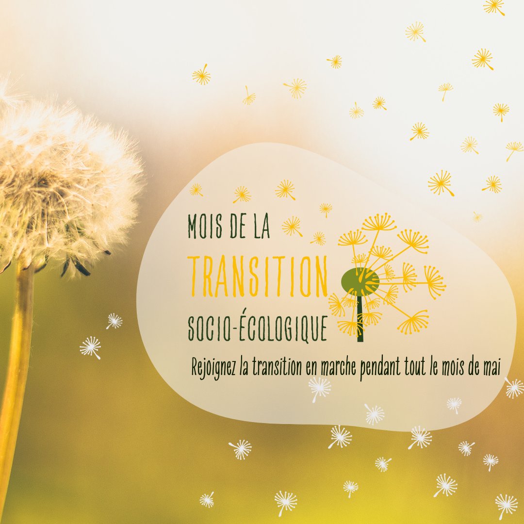 🥳C'EST PARTI POUR LE MOIS DE LA TSÉ! ⏰
Le Front commun pour la transition énergétique lance officiellement la deuxième édition du Mois de la transition socio-écologique.

👀Pour lire le communiqué de presse : bit.ly/4agYPnb
#moisdelaTSE