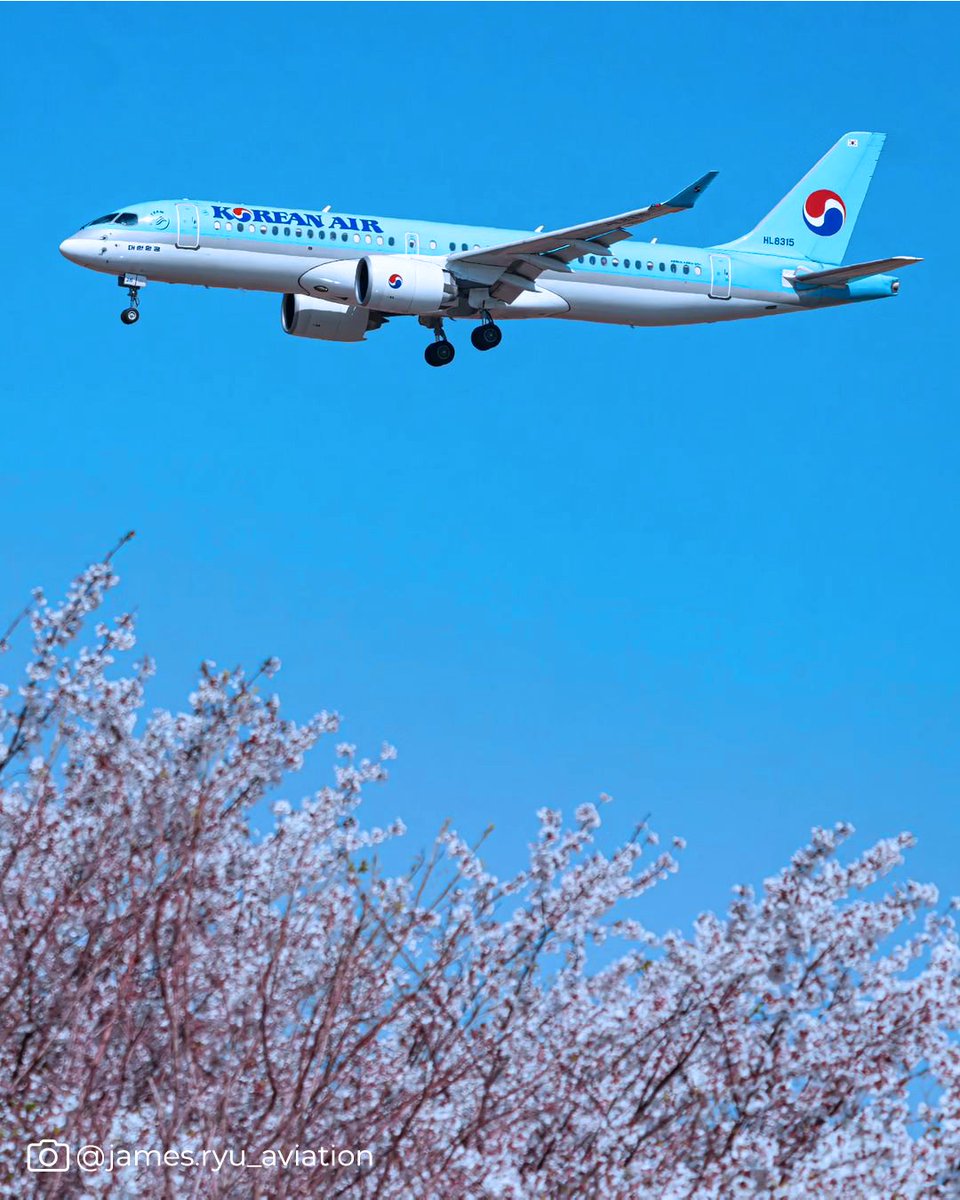 We're cruising into May’s blue skies! #SkyTeam #KoreanAir #Aviation