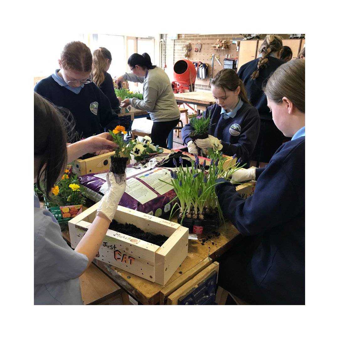 🌱 Our #NotJustForBoys class last week was buzzing! The girls crafted their own planters from scratch and filled them with vibrant plants and flowers. Click through to see more photos of their hard work! 💪 

#WOMENSTEC #DIYSkills #GirlsInConstruction #GirlsWhoBuild