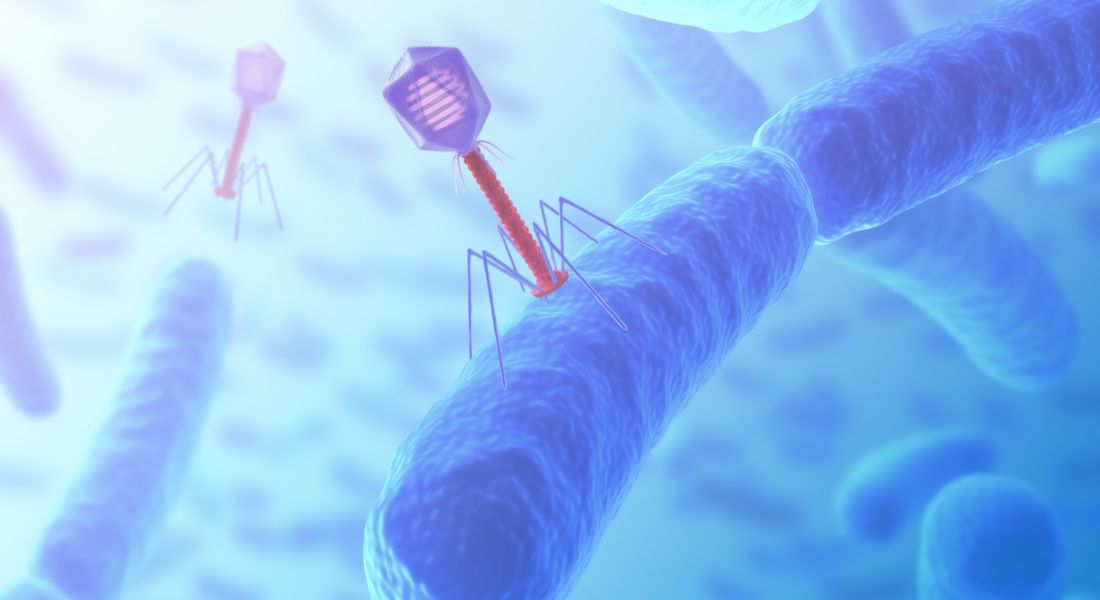 The @LEOFondet has granted 4 million DKK to a new innovative #phagetherapy project led by @TSPKU (@UCPH_Research), aiming to combat necrotizing soft tissue infections by harnessing Group A Strep-targeting #phages. buff.ly/3wfiC8i
