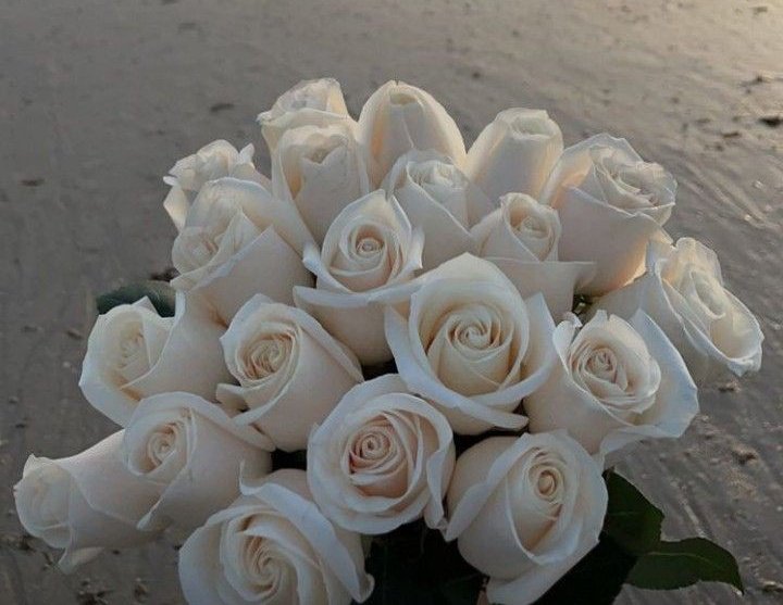 💐💞 #rodzinamonet

różowe stokrotki - symbol miłości, wdzięczności i uznania 

białe róże - symbol lojalności, szacunku i honoru