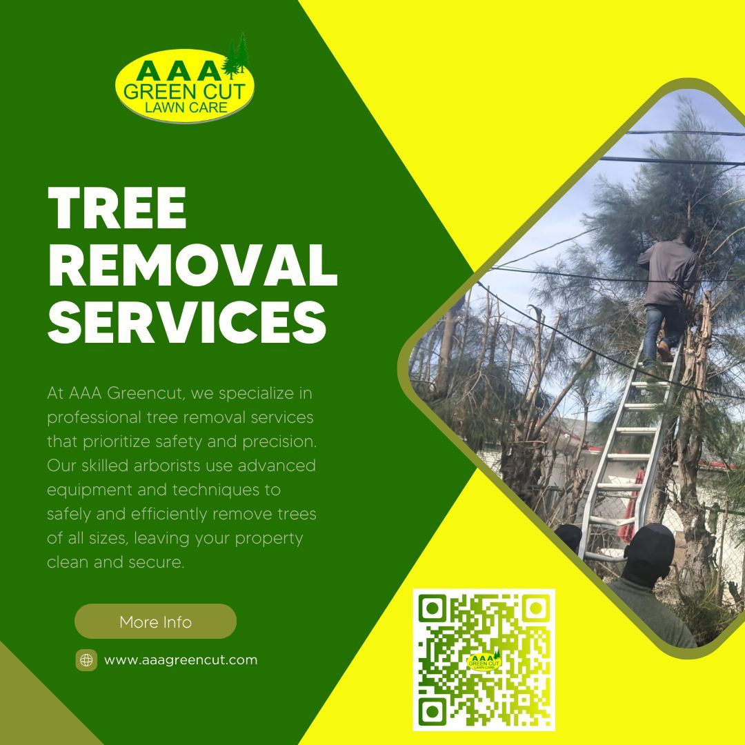 Say Goodbye to Unwanted Trees – Book Our Tree Removal Services Today! 🌳✂️ Whether you have a hazardous tree that needs to be taken down or simply want to clear space in your yard, our skilled team at AAA Greencut is here to help. Contact us now to schedule your tree removal!