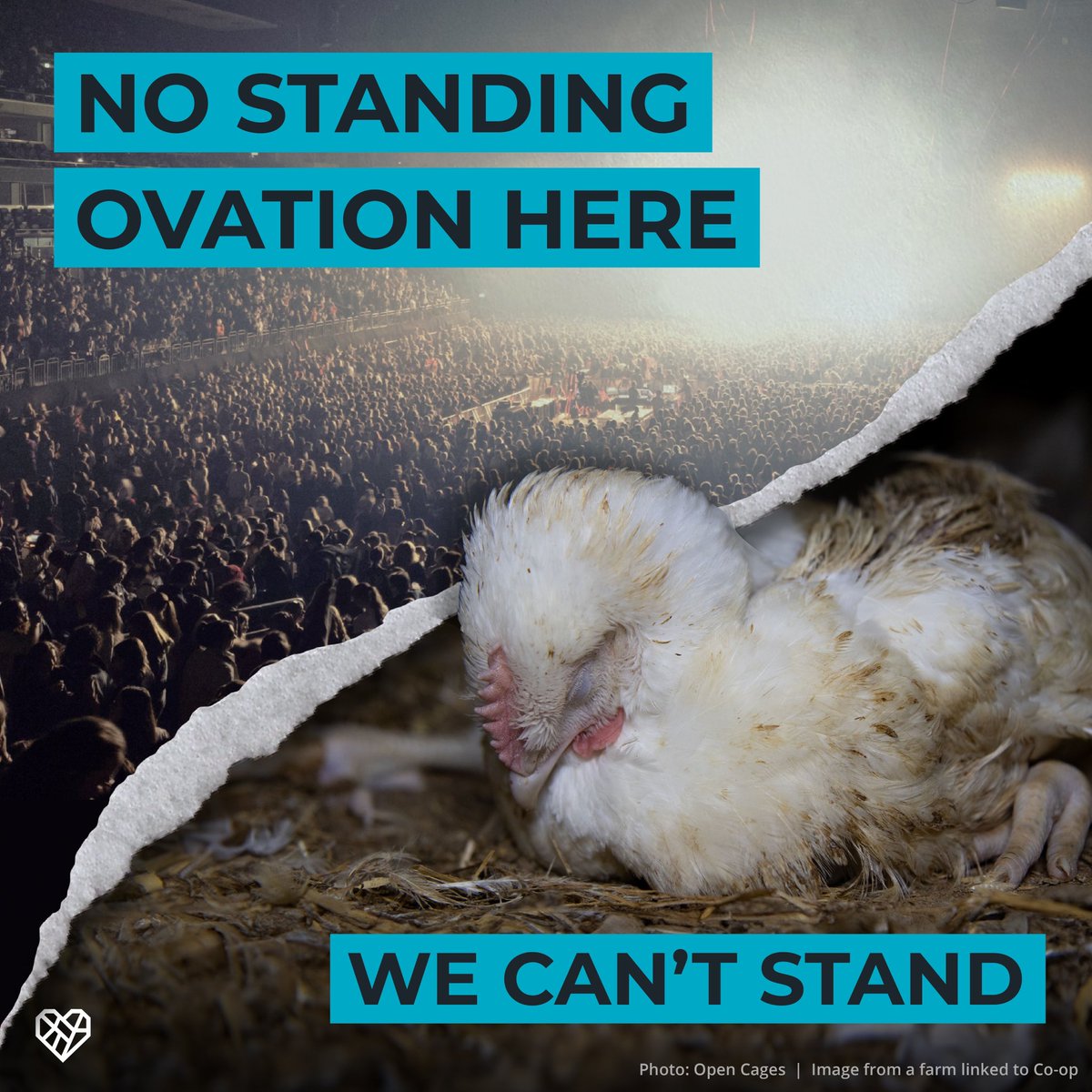 ChrisGPackham's tweet photo. The Co-op has put millions into new venue #CoopLive but can't spare any money to get fast-growing Frankenchickens out of their supply chain. @coopuk must do right by their members and millions of birds, and end this unnecessary cruelty #CrueltyAtTheCoop https://t.co/hUhCDVUChd