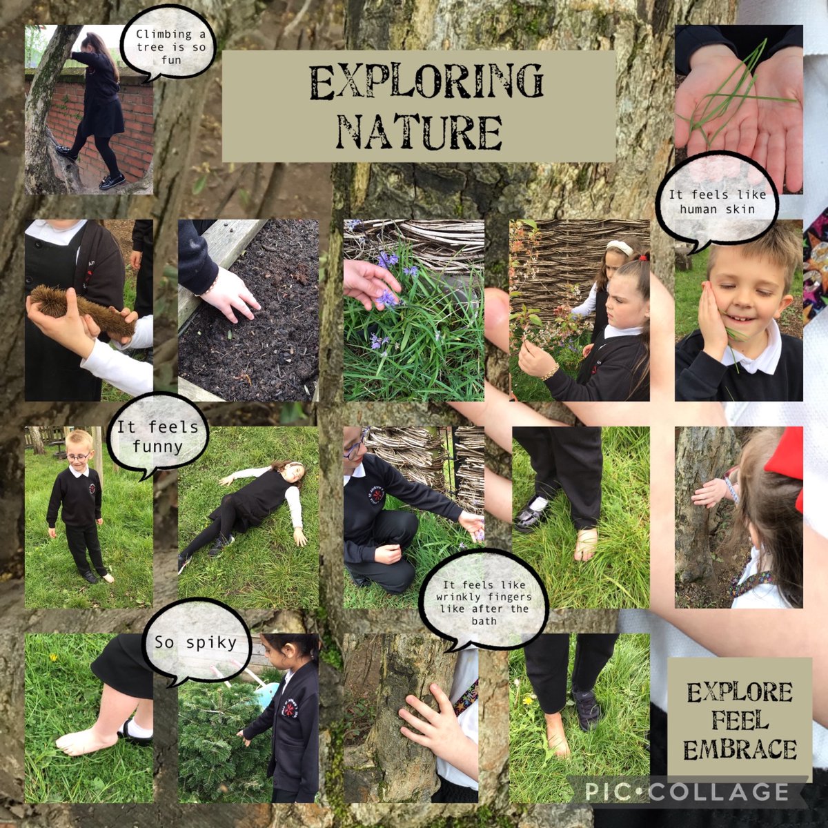 Miss Corner tweet media