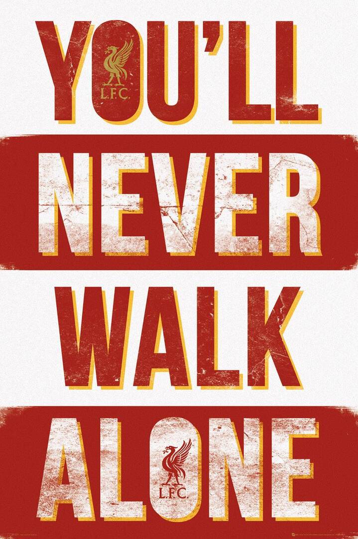 Today’s LFC Follow Train 🚊 

To gain active #LFC followers. 

Retweet This 🔴

Like This 🔴

Follow Back All 🔴

Usually Gain 100+ new followers of this. 

#LFC #LFCFollowBack
#LFCFamily
#LFCFollowTrain #YNWA