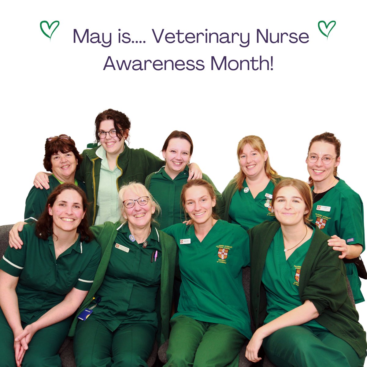 It's #VNAM2024 - Stay tuned, as we share stories from our nursing team, highlighting why they're passionate about their profession. Our team at the #QVSH work hard to provide excellence in animal care while teaching the vets of tomorrow! #VeterinaryNursing #RVN @Cambridge_Uni