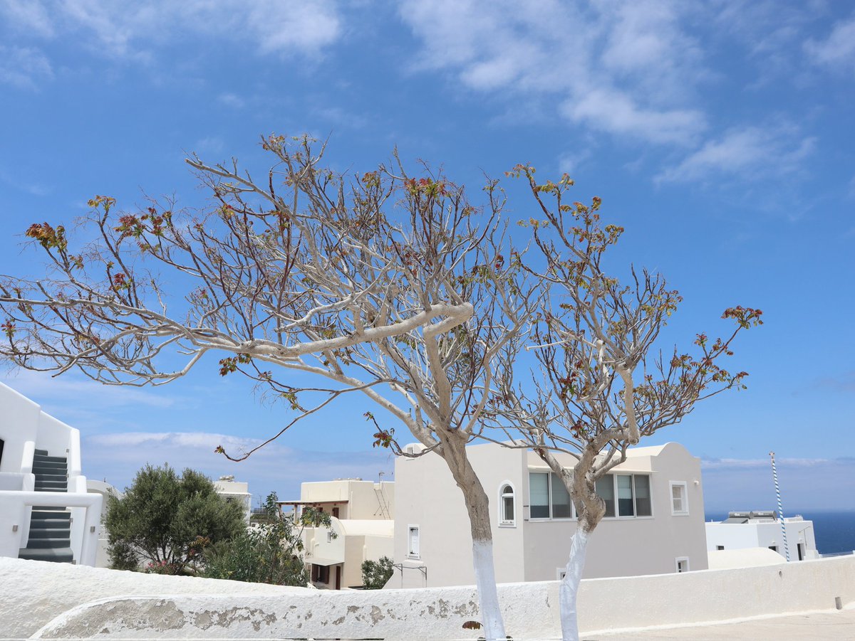 Santorini #ThePhotoHour#Santorini#Greece