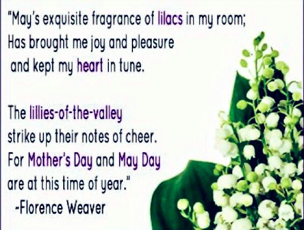 #HappyMayDay #May1 #MayDay “May’s exquisite fragrance of lilacs in my room; Has brought me joy and pleasure and kept my heart♥️in tune. The lilies-of-the-valley strike up their notes of cheer.
For Mother's Day and May Day
are at this time of year.” #Poet 
Florence Weaver #Poem 💐