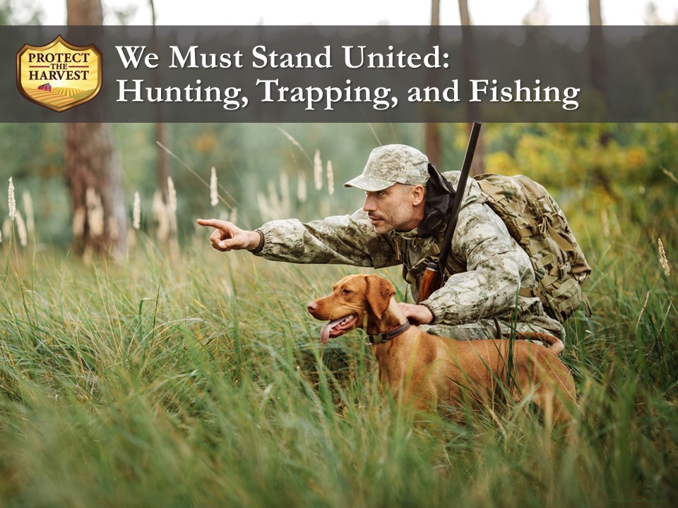 We must stand united for hunting, fishing, and trapping.
#hunting #trapping #fishing #conservationists #foodsecurity
protecttheharvest.com/news/we-must-s…