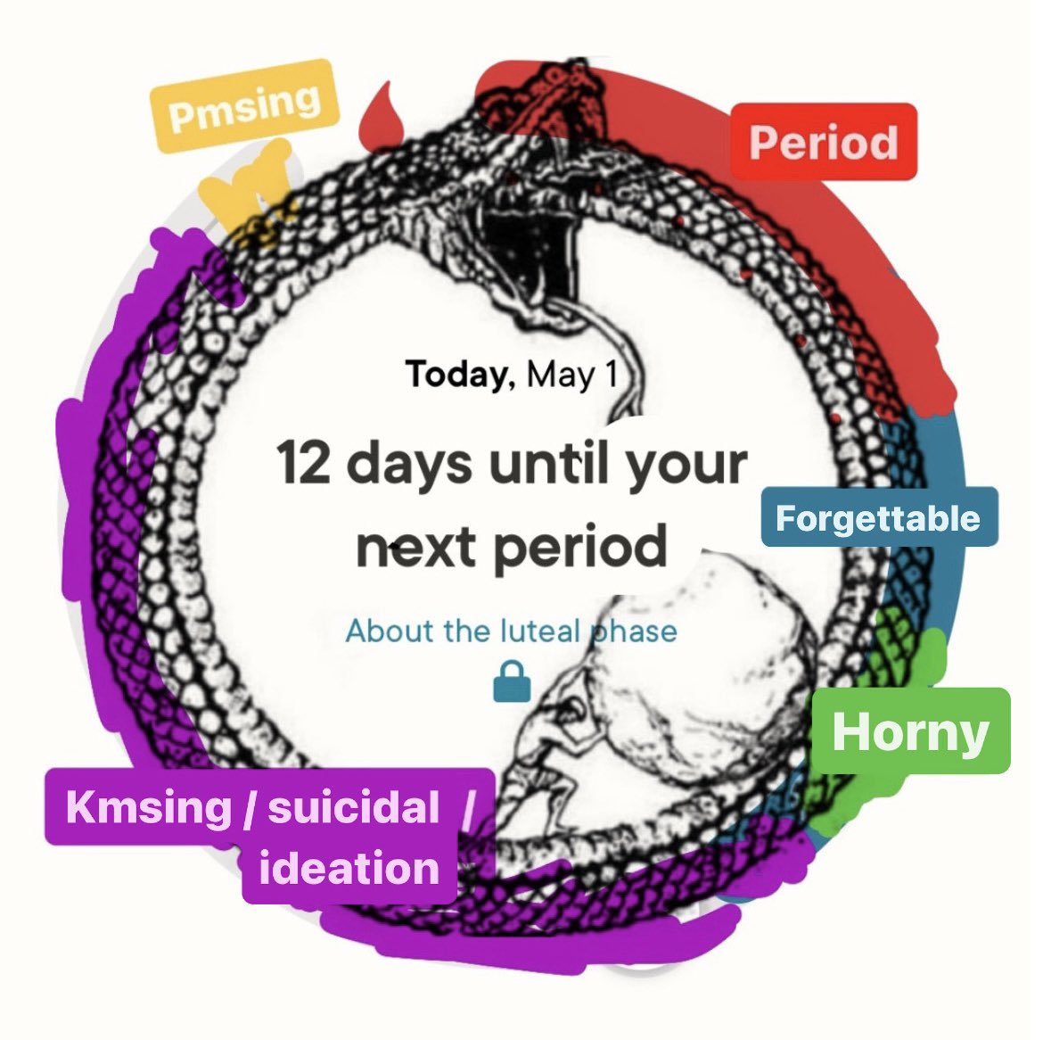 Feminist reimagining of the menstrual cycle