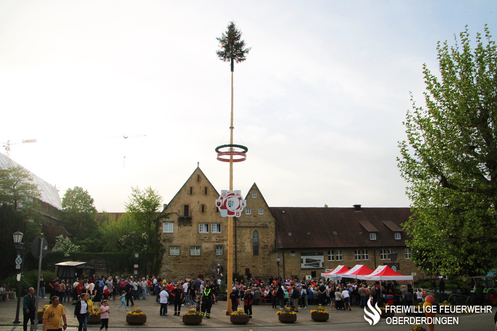 Nach vier Jahren der Coronapandemie geschuldeten Pause wurde am Dienstagabend in Oberderdingen wieder ein Maibaum auf dem Marktplatz aufgestellt. 
Mehr: ogy.de/56lw