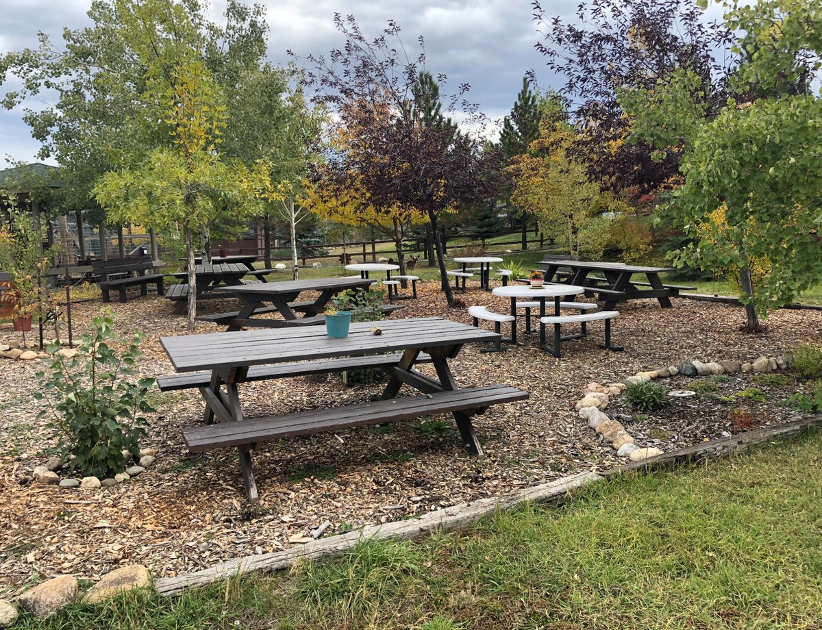 It's May 1st! That means our summer hours have begun! 

We are now open every day except Tuesdays! 10:00am-4:00pm (last admission is 3:30pm).

It's not quite this green yet...but it won't be long!