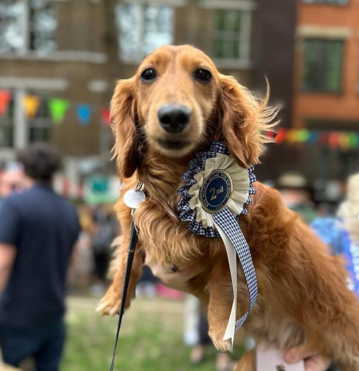 The Michael 2 bookshop tour continues tomorrow. I'll be in the Newham / Leyton area of London in the afternoon with an award-winning helper! Visit times below if anyone wants to come say hi. @PhloxBooks - 2pm @NewhamBookshop - 3.30pm 🐾🐶🐾🐶🐾🐶