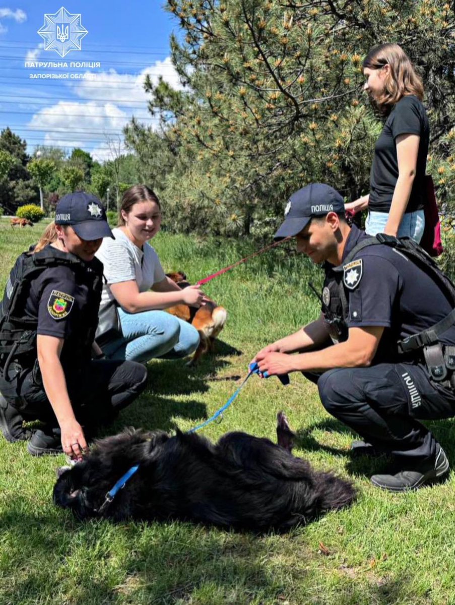 Zaporizhzhia police officers + students from one of the city schools joined a dog walking weekend campaign, aimed at drawing public attention to the problem of homeless animals. The @Naturewatch_org campaign in Ukraine is aimed at humane education and training police officers 👍