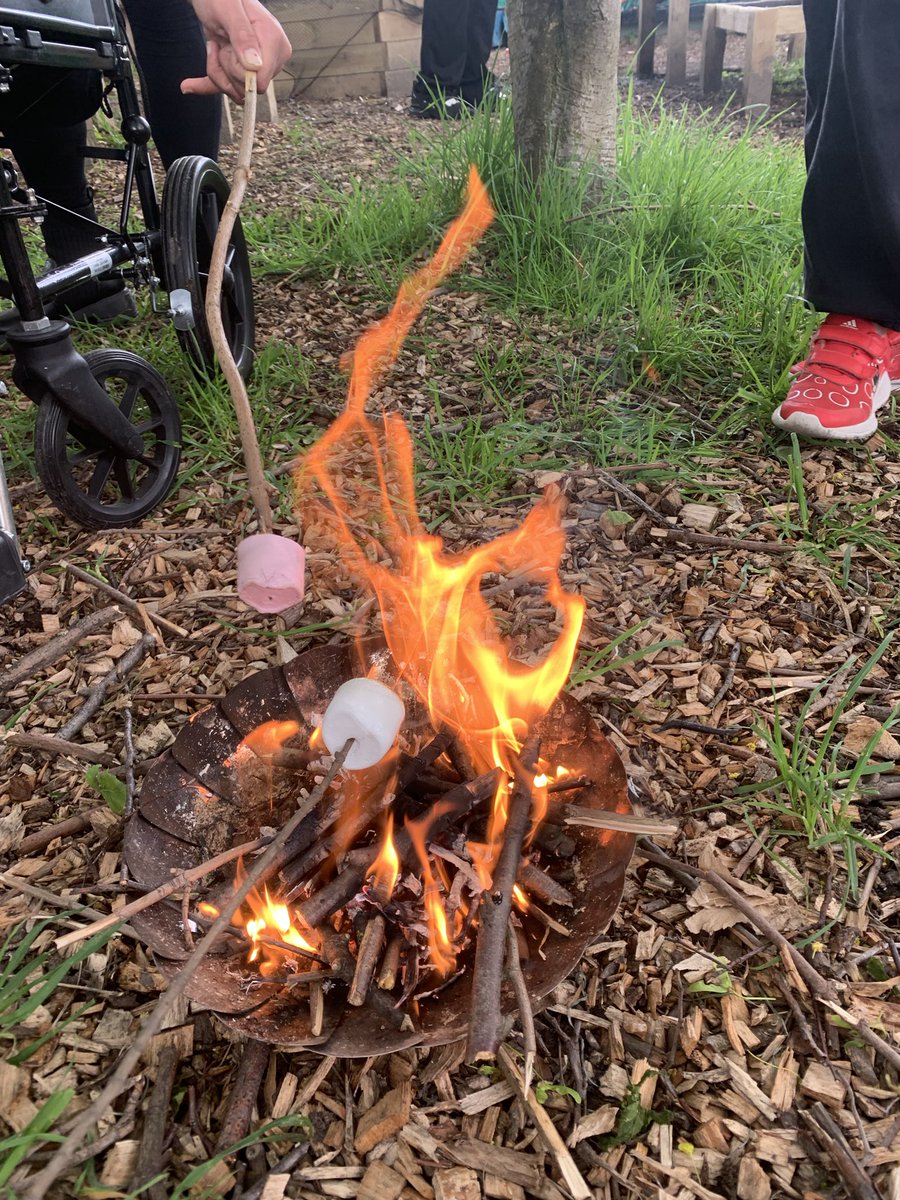 MinibeastAD's tweet photo. Who wants S’more 🔥🔥

#bushcraft #minibeastadventures #minibeasts #campfire #campfirecooking #kirklees https://t.co/vzj0ouQaLU