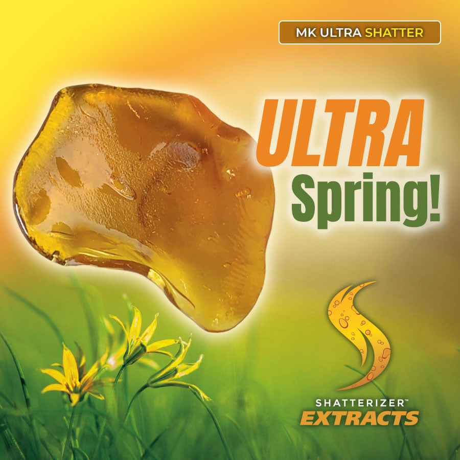 Shatterizer Family, It’s going to be an Ultra Perfect Spring! bit.ly/UltraPerfect