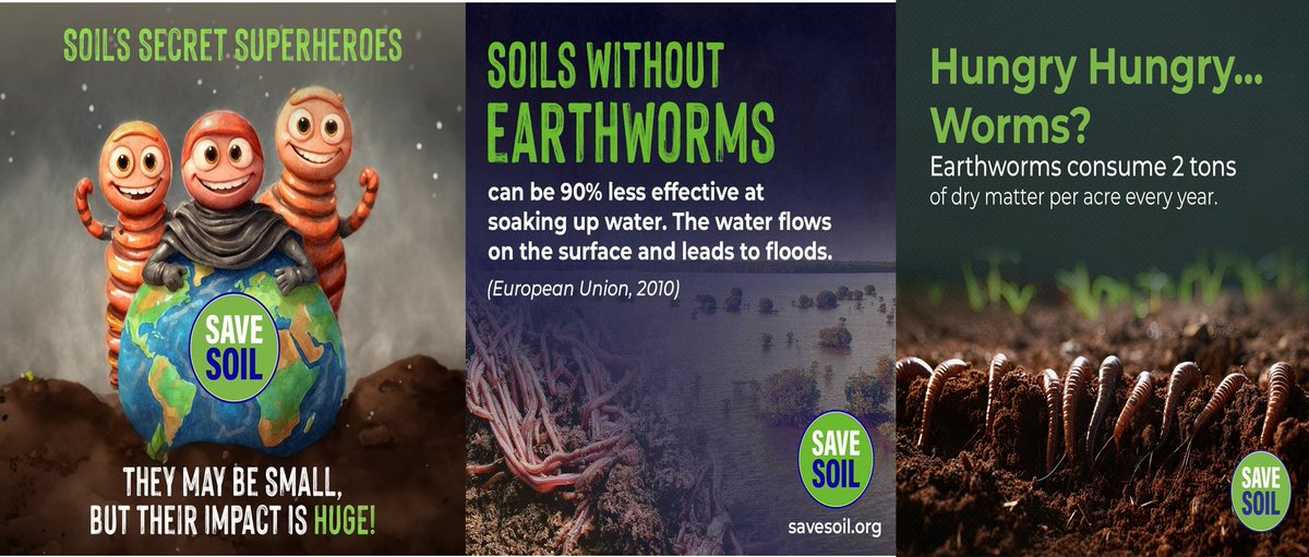 Earthworms, woodlice, ants, termites, beetles, arachnids, myriapods, and insect larvae are litter transformers, predators, some plant herbivores and ecosystem engineers, moving through the soil,  increasing water permeability and soil aeration.
#cpsavesoil, #SaveSoil