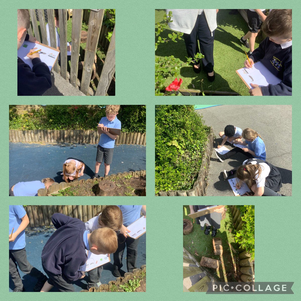 Emerald Class have been on a minibeast hunt. They have been looking in the different micro habitats in our playground.🕷🐜🐝🐞🪱
