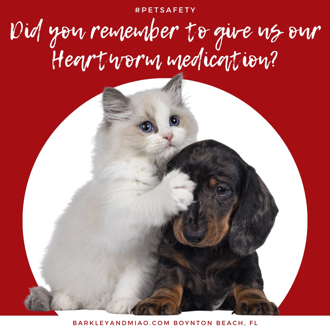 #PetSafety 🐾❤️

Your pet’s health is important and prevention is the best treatment for Heartworms. Monthly prevention is best, talk to your pet’s veterinarian to decide which preventive is best for your furry friends.

#adoptdontshop #boyntonbeach #cats #dogs #pets #petsitter