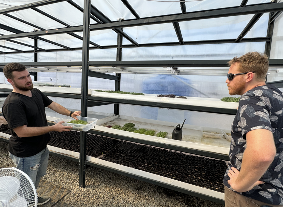 ACDI/VOCA volunteer Marco Malatrasi is making a macro difference in microgreens. 🌿 Recently, he shared his expertise with HighGarden, a hydroponic greenhouse in Georgia, offering guidance on cultivation, management practices, & more! Volunteer with us: bit.ly/4be81JQ