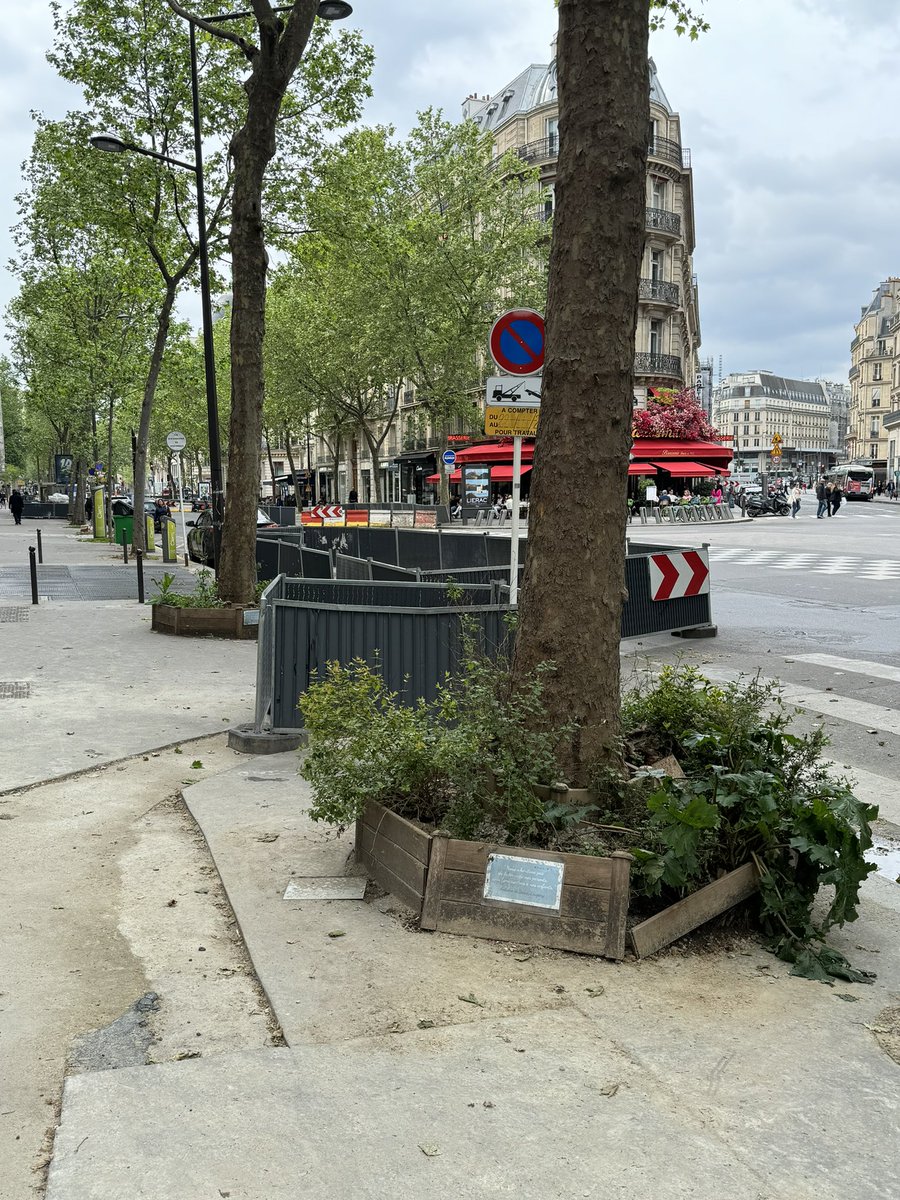 Comment peut-on se lasser de cette beauté sur le Bd Haussmann ? Merci #AnneHidalgo 🙏🏻 Nous allons briller pour ces jeux. #Paris2024