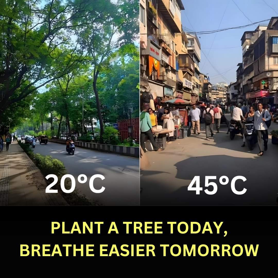 Climate change is real.!