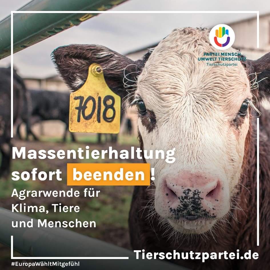 Massentierhaltung verursacht unsägliches #Tierleid und bedroht unsere Umwelt sowie Gesundheit. Wir fordern einen Ausstieg aus dieser Industrie und den Wandel zur bio-veganen Landwirtschaft. Unterstützt uns am 9. Juni bei der #Europawahl! #MitgefühlWählen #TeamPlanet