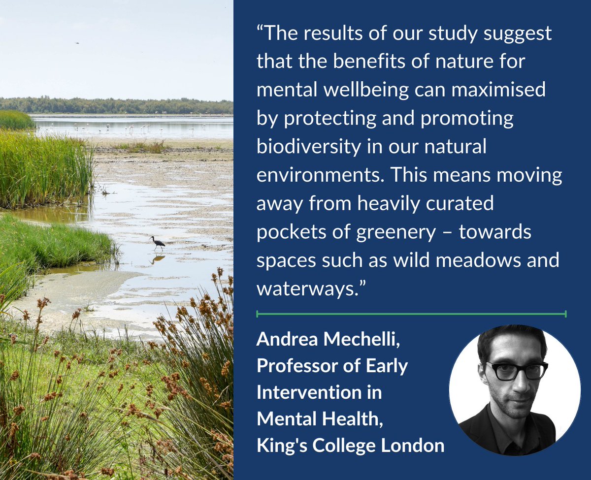 'Why diversity in nature could be the key to mental wellbeing' - Read Professor Andrea Mechelli's blog in The @ConversationUK. His recent study @KingsIoPPN shows that the mental health benefits of nature depend on #biodiversity. ➡️theconversation.com/why-diversity-…