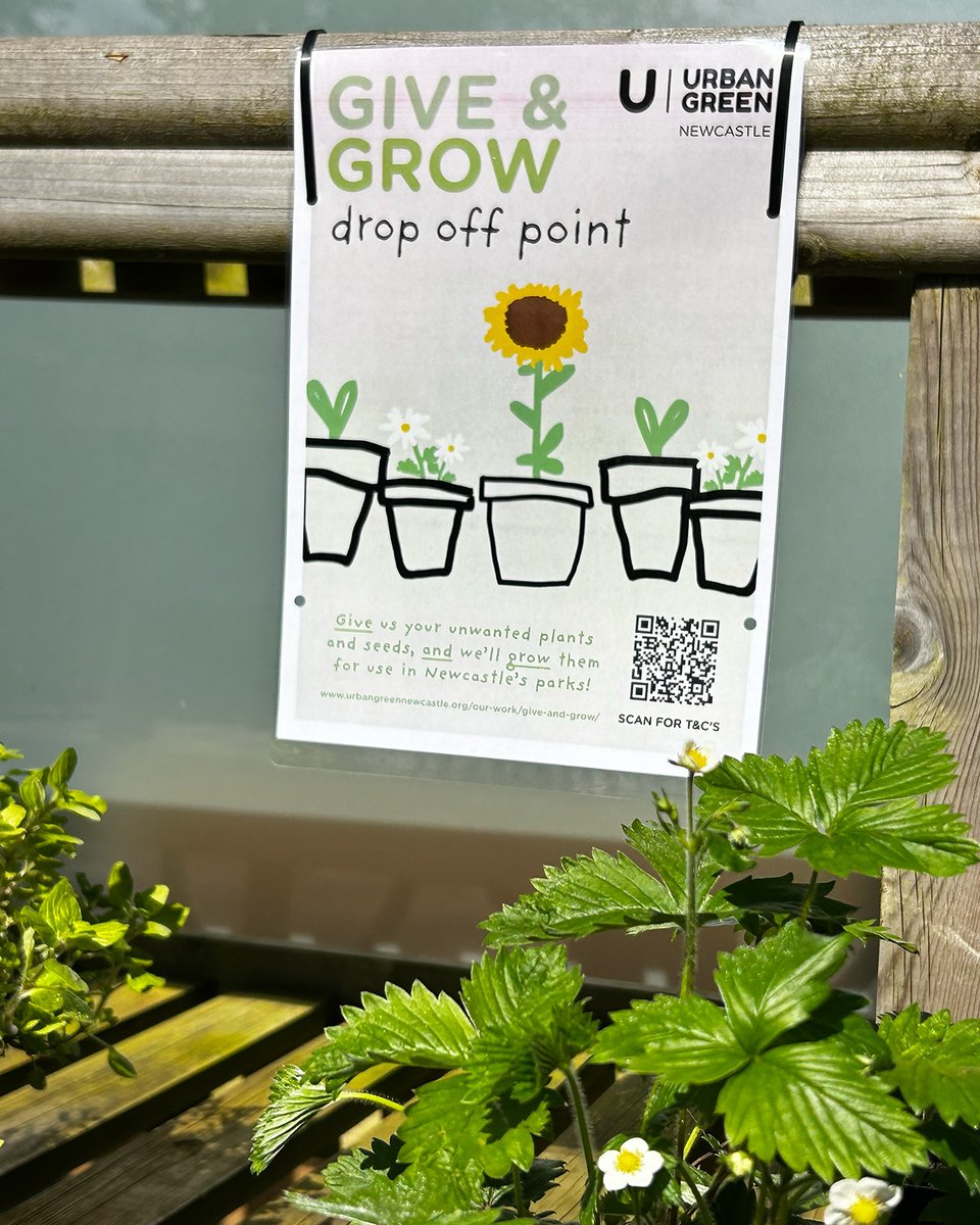 In celebration of #nationalgardeningweek , we’re excited to let you know about our Community Gardeners’ latest initiative with the launch of our Give & Grow scheme. Find out more here: urbangreennewcastle.org/our-work/give-…