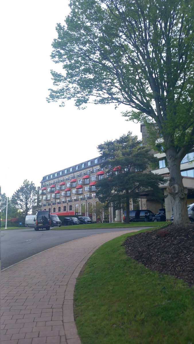 FfionRendall tweet media