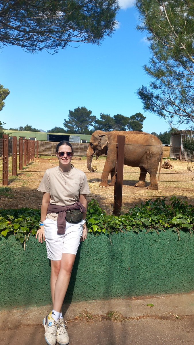 FfionRendall tweet media