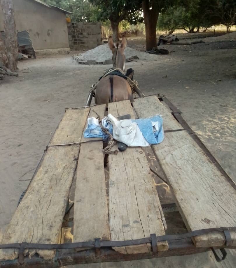 hope and love for Jesus Christ ✝️✝️✡️ (@ebexjallow42928) on Twitter photo 