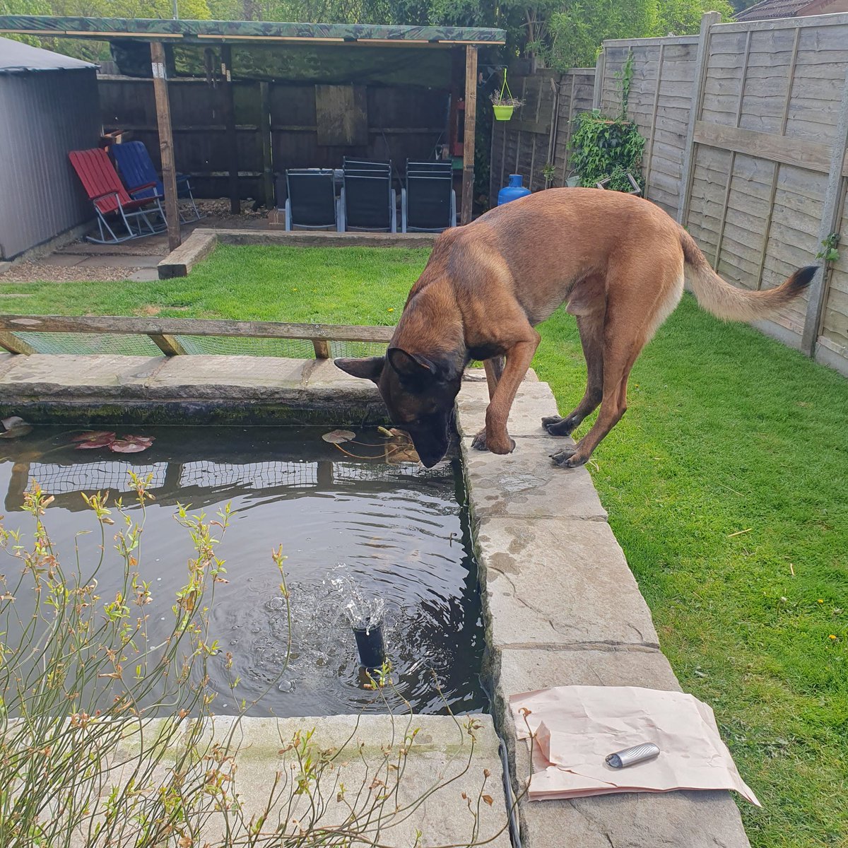 Good Morning frens ☕️☕️☕️ today's activity includes, trying to get these things to do something other than stare at me 😬

🐠💦🐠💦🐠💦🐠💦🐠💦🐠💦🐠💦

#TeamMali ❤️