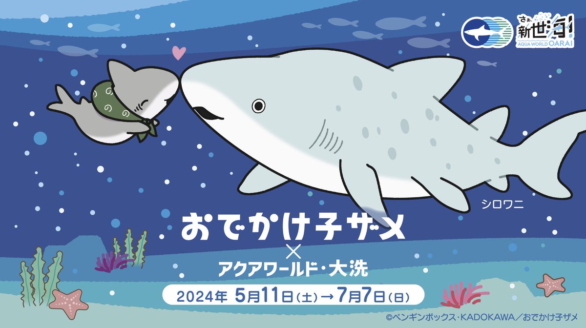 アニメ「#おでかけ子ザメ」と〈#アクアワールド•大洗〉のコラボ開催が