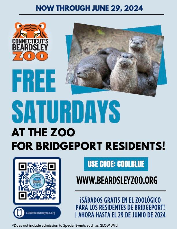 Don't forget that until June 29th, Saturdays are free at the @CTBZoo for Bridgeport residents!🐾Visit beardsleyzoo.org and use code: COOLBLUE to get your free ticket to the zoo!