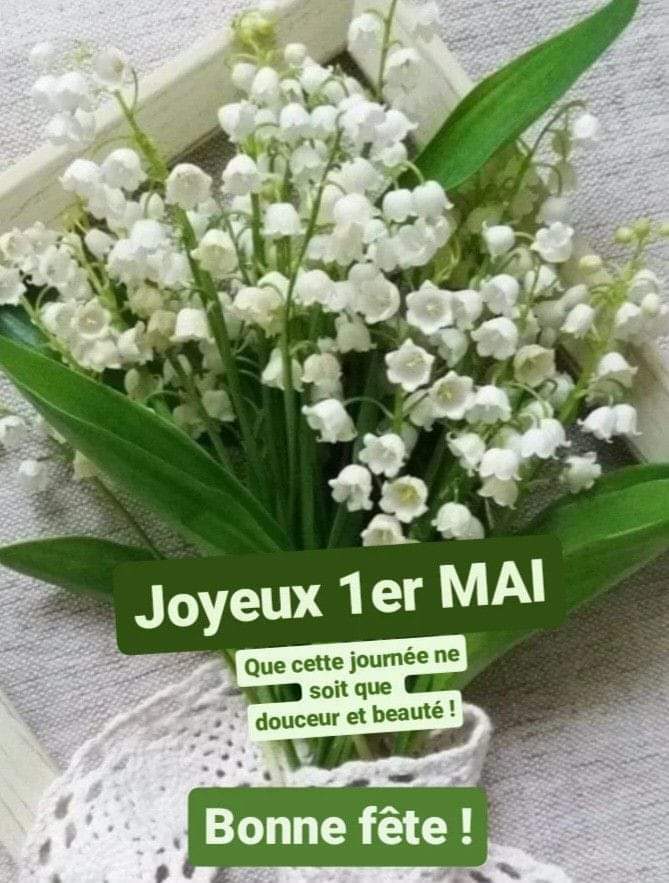 #bonjour #bonnejournée #1erMai #muguet #mercredi #matin #positivywibes #citation @LdOptimistes