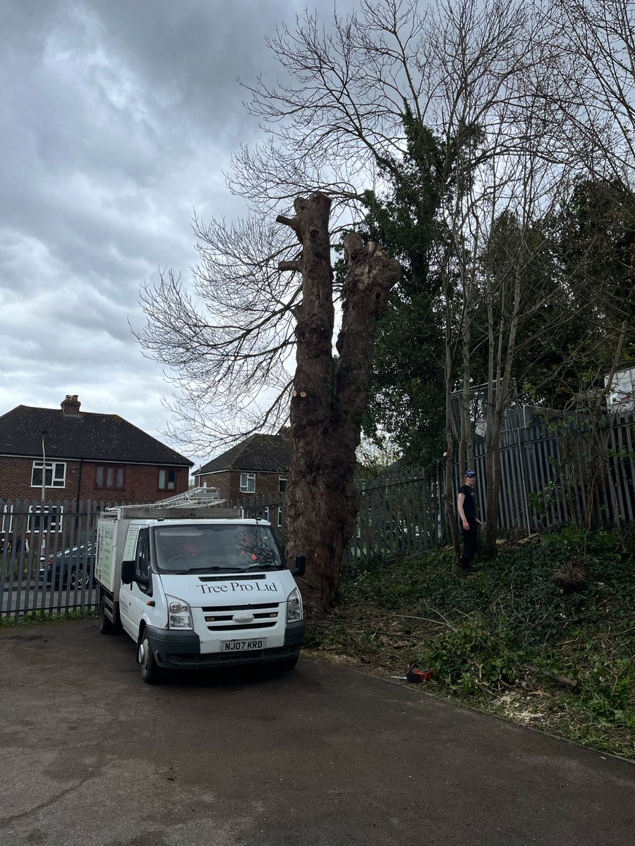 TreeProLtd's tweet image. Safeguarding with Precision: A Case Study in Tree Inspection and Maintenance by Tree Pro Ltd

Read more here bit.ly/4aNXoxz