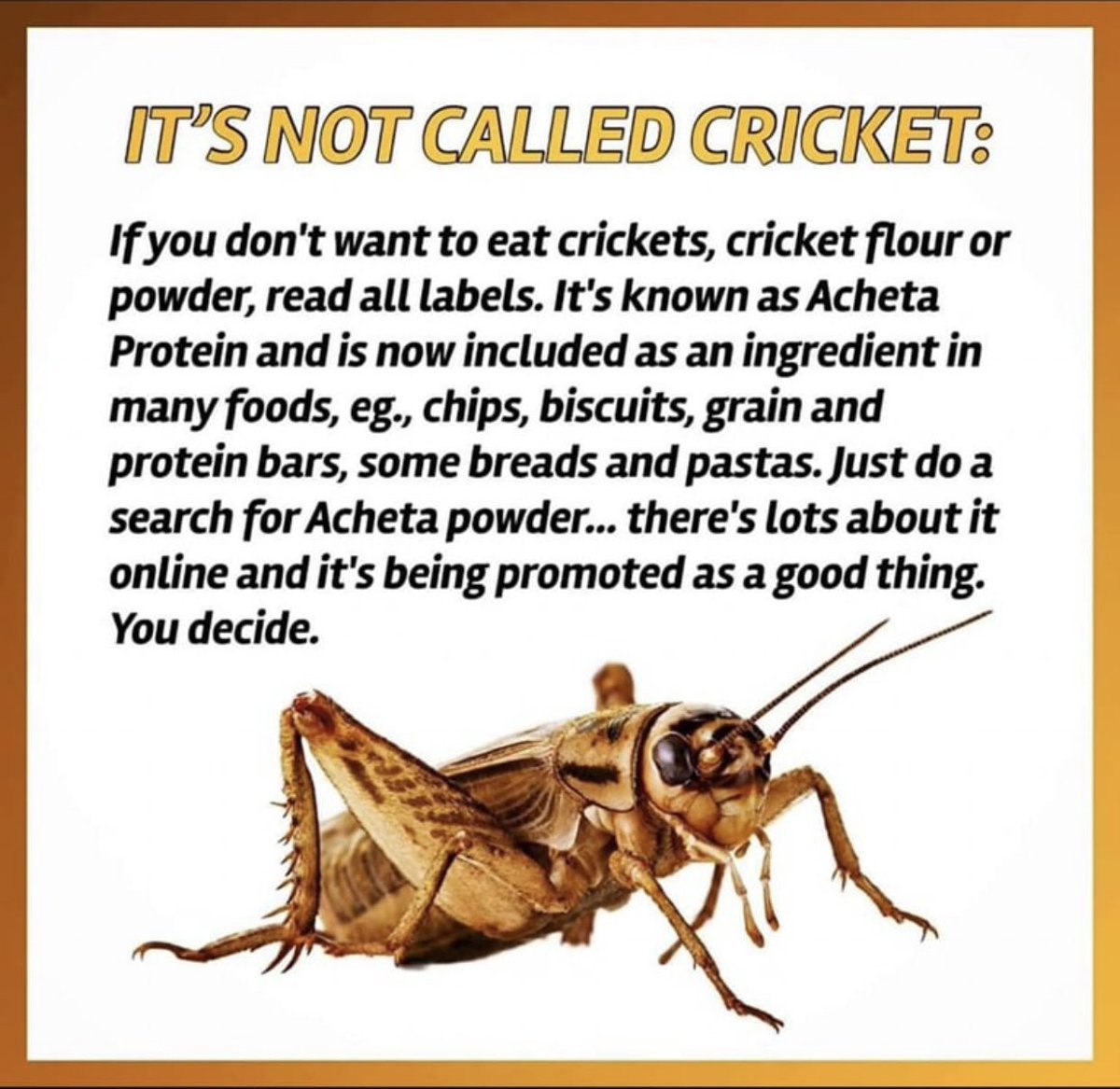 Crickets Anyone

#food #Insects #cricket #bugs #bug #insect #foodingredients #notnatural #toxinsarekillingus #foodadditives