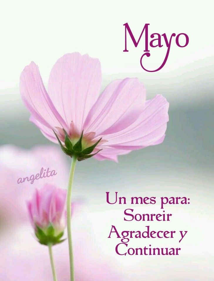 A mis amigos @tonybonita11,@ChiquitaCastr16,@Leylani66187179,@Paula48079240,@Paulacolmenres2 @AlbaCedeoZaval1,@real_ii77611,@JuanPed96335610 ,@juanx7 ,@ChichoFilosofar,@1105Vanessa,@AgalvezMari,@24maria15,@4347_mj,@YanethRP @cabellosandoval,@guwevara,@diablita251098,@elitwitts