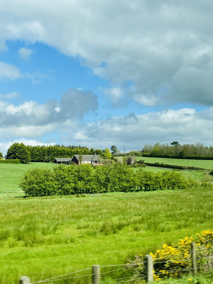 Back to the green fields of Northern Ireland. My 💚 is full from my time in Canada at #LitLearn2024 on behalf of @NessyLearning. 🍀 I will spread this message as far as I can. “Learning to read is not a privilege, but a basic and essential human right.” -@OntHumanRights