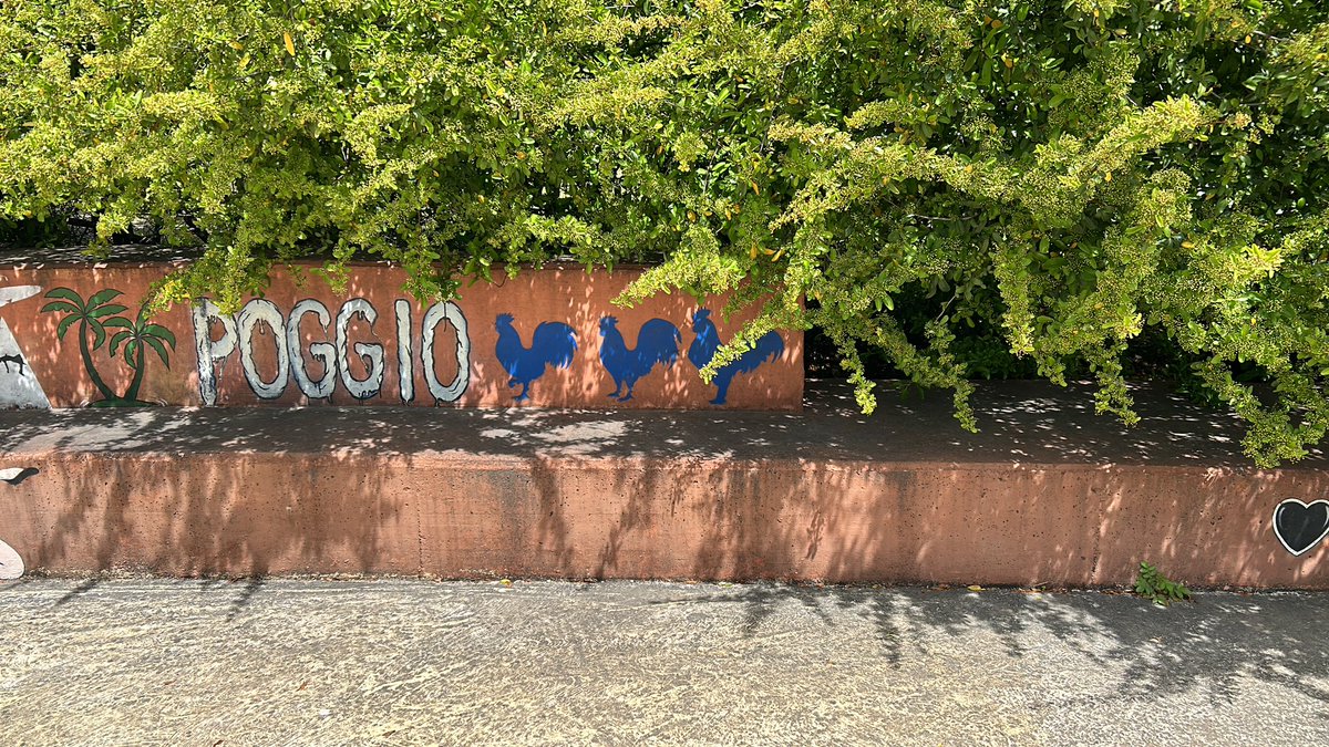 #iocorroqui <a href="/runlovers/">Runlovers</a>