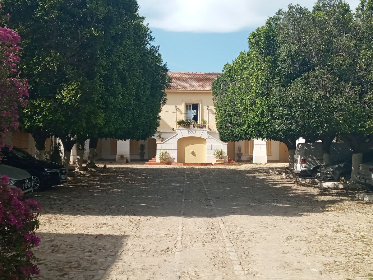 MarionPiccio's tweet photo. 🍇Visite inspirante au domaine #Neferis sur les collines historiques de Khanguet. Entre techniques modernes et héritage phénicien, chaque #vin raconte une histoire. Un must pour les amateurs🍷! #VignobleTunisien #HistoireEtVin #Tunisie #IloveTunisia🇹🇳 https://t.co/Fd1B1rS65z