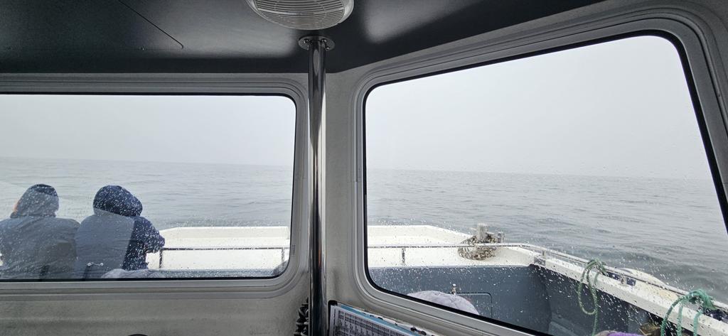 View from my office window today. Calm seas and a bit mild but it's starting to rain now. Please can we just have the rain through the night and sunny through the day. #farneislands #seahouses #serenity