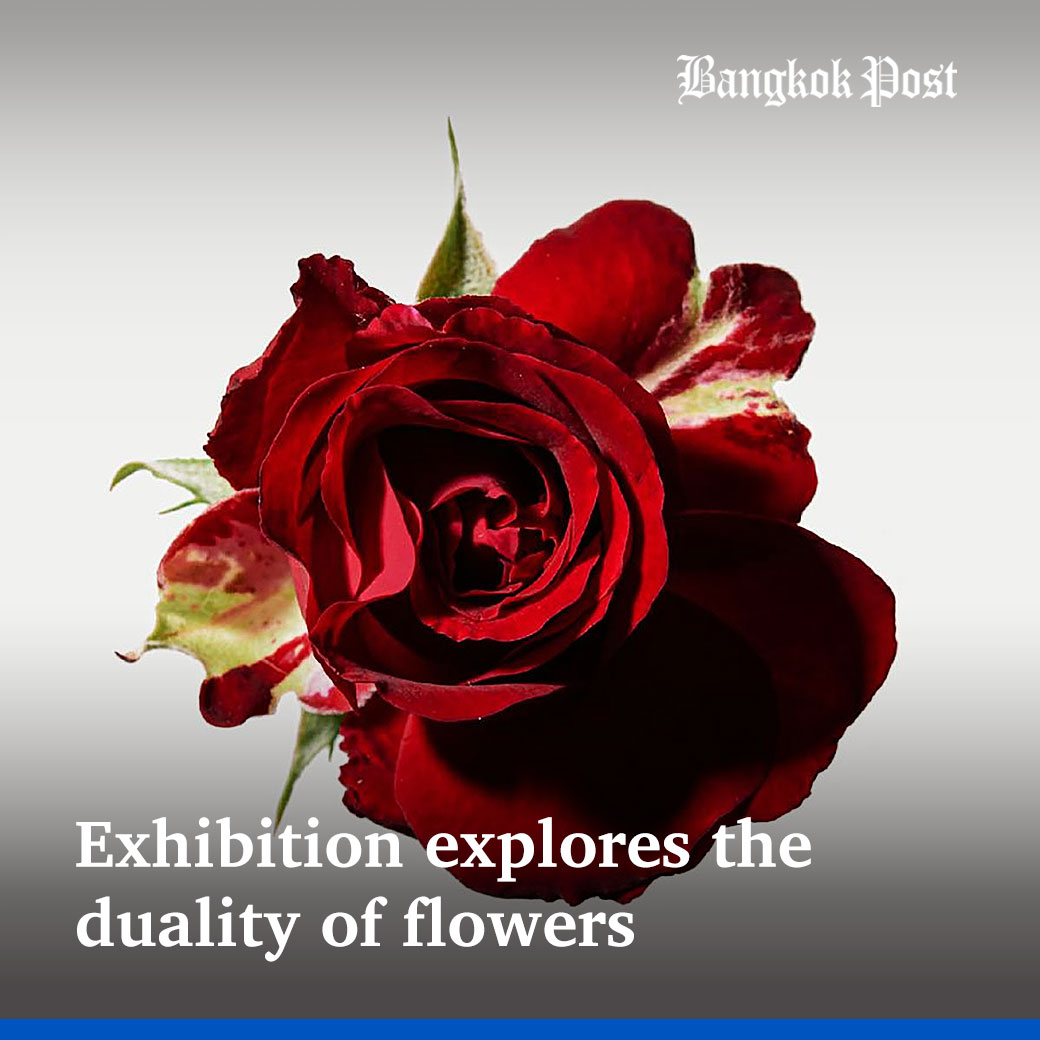 #BangkokPost: Art viewers are invited to ponder the journey of beautiful flowers during 'Yummy Rose', which will kick off this Saturday and run daily from 11am to 8pm until July 21, at Hop Photo Gallery, 3rd floor of Seacon Square, Srinakarin Road. #lifestyle #artist #event